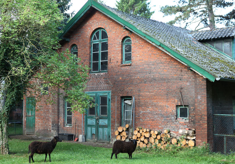 Werkstatt